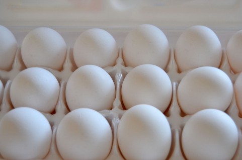 卵殻カルシウムって何？焼成と未焼成の違いは？卵アレルギーと関連ある？